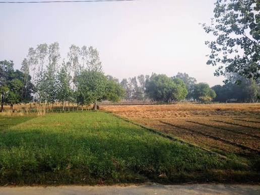 Kabir Enclave Dayal Bagh Agra